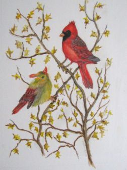 cardinals.jpg