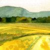 meadows