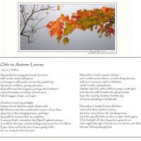 photos poetry3