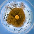 lsf image 22 the world as we see it
