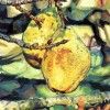 Pears300H 1 