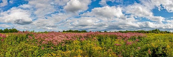 bay farm duxbury