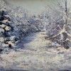 Blanketed Purple Path