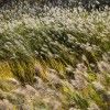 untitled 0049