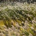 untitled 0049