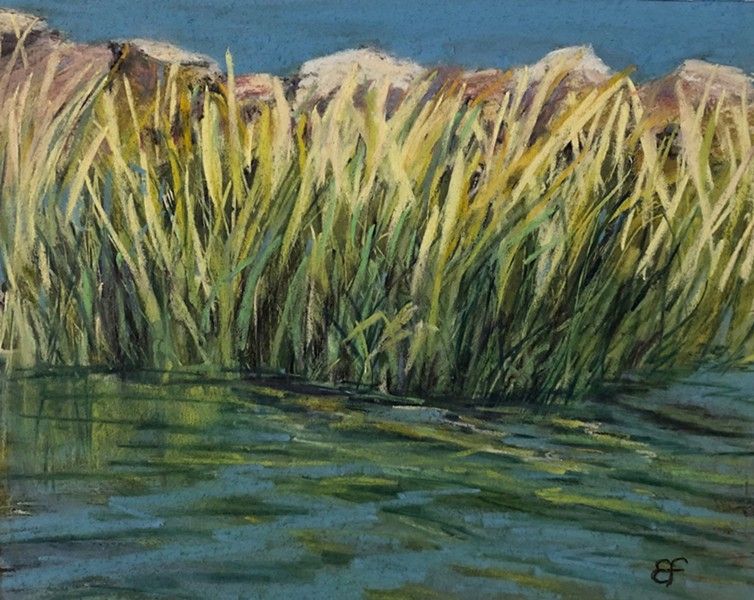 Freedman E WadingintheSeaGrass