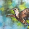 hummingbird 1