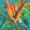 bird of paradise