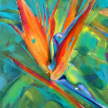 bird of paradise