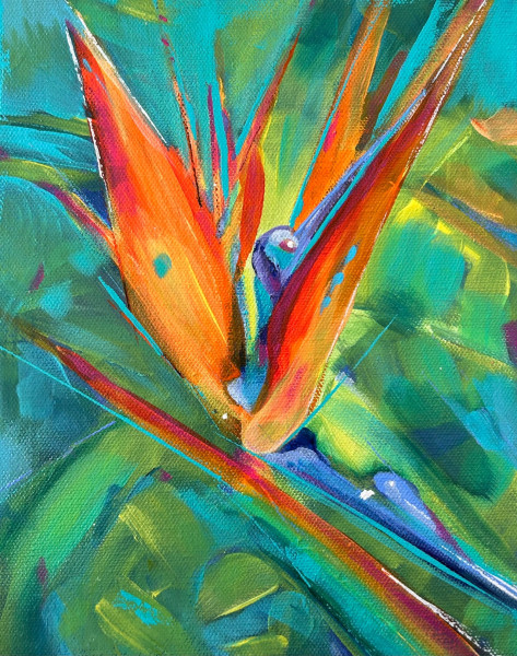 bird of paradise