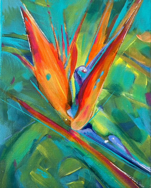 bird of paradise copy bird of paradise copy