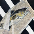 fresh catch
