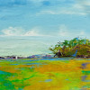 marsh colors