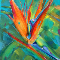 bird of paradise copy bird of paradise copy