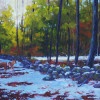 11 october snow