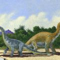 11 diplodocus and brachiosaurus