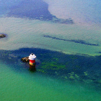 5 bug light